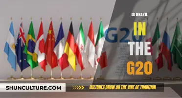 Brazil's Role in the G20: A Comprehensive Overview