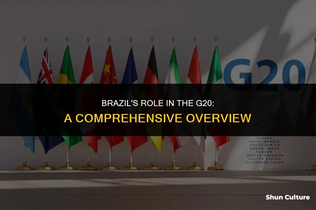 is brazil in the g20