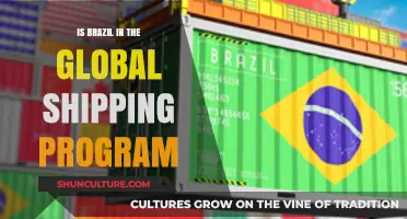 Brazil's Participation in the Global Shipping Program: A Comprehensive Overview