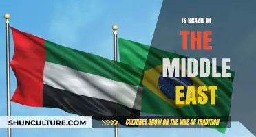 Exploring Brazil's Cultural and Geopolitical Ties to the Middle East