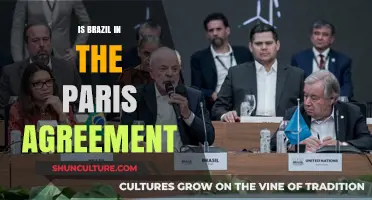 Brazil's Commitment to the Paris Agreement: A Closer Look