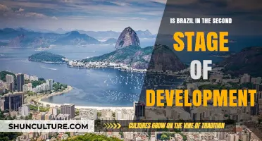 Brazil's Developmental Journey: Assessing the Second Stage