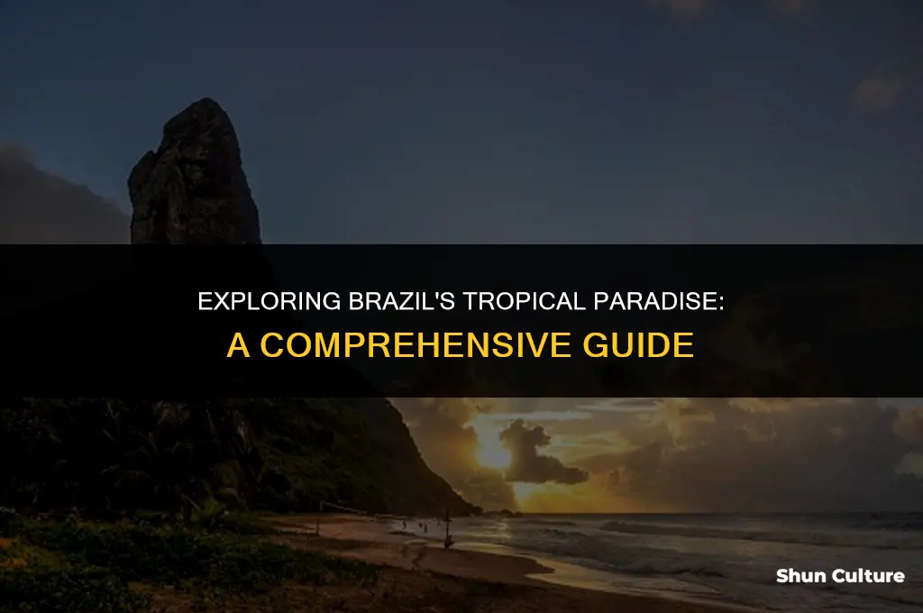 is brazil in the tropics