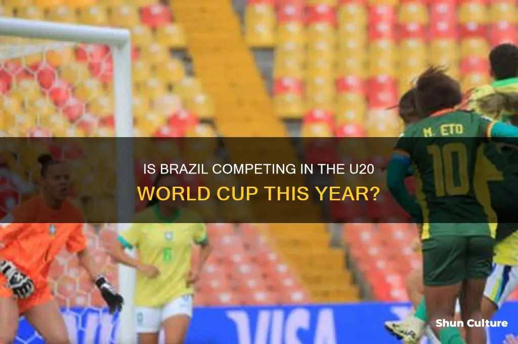 is brazil in the u20 world cup