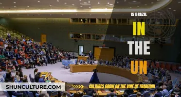 Brazil's Role in the United Nations: A Comprehensive Overview