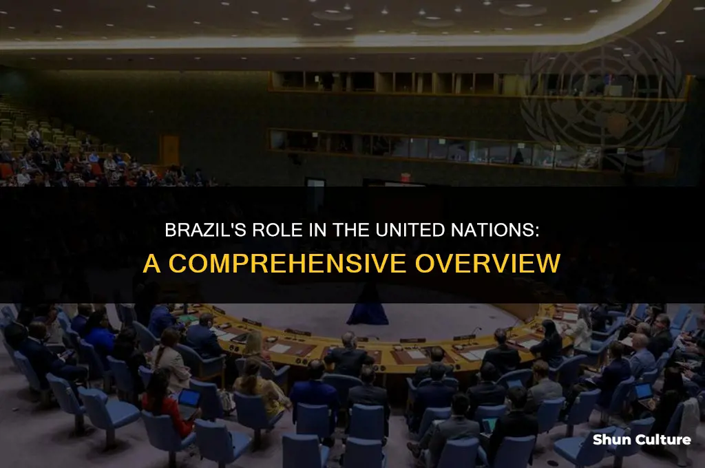 is brazil in the un
