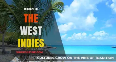 Exploring Brazil's Cultural Ties to the West Indies