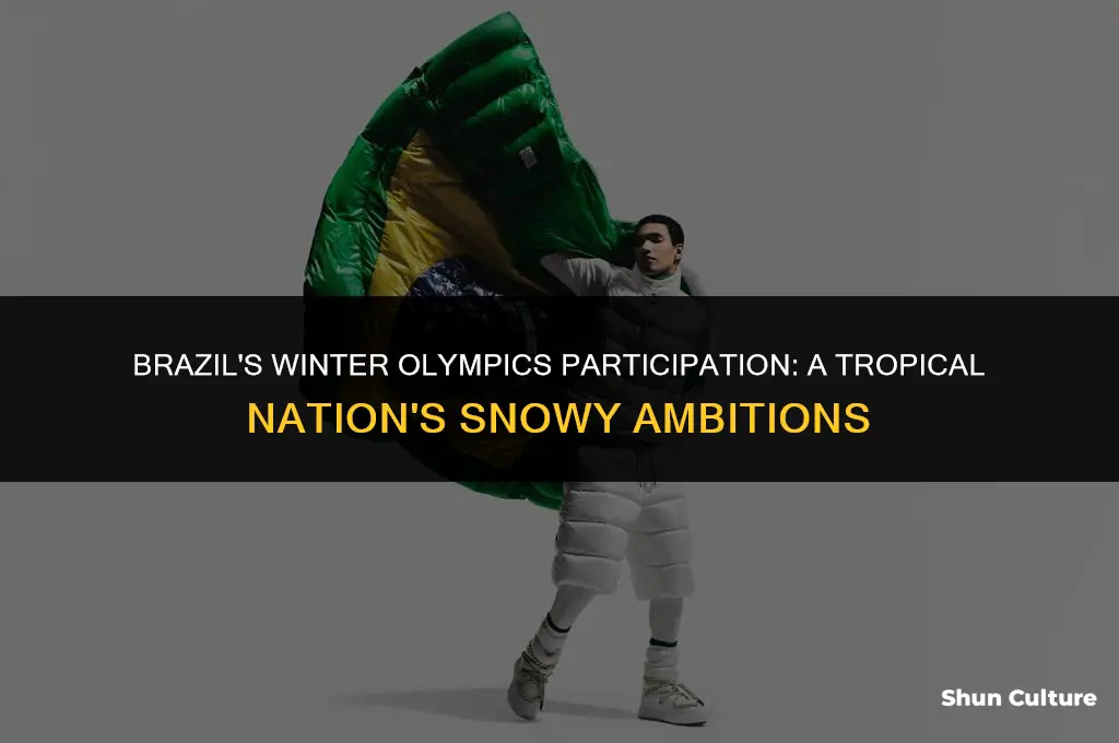 is brazil in the winter olyipics