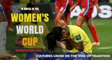 Brazil's Journey in the 2023 FIFA Women's World Cup