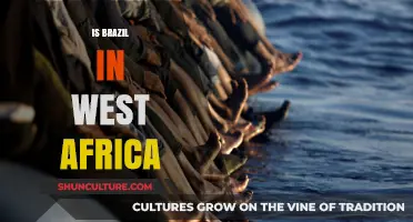 Exploring Brazil's Cultural Ties and Influence in West Africa