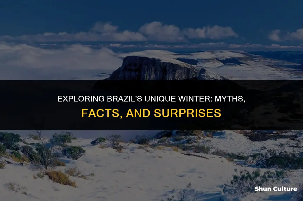 is brazil in winter