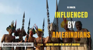 Echoes of the Past: Amerindian Influence in Modern Brazil