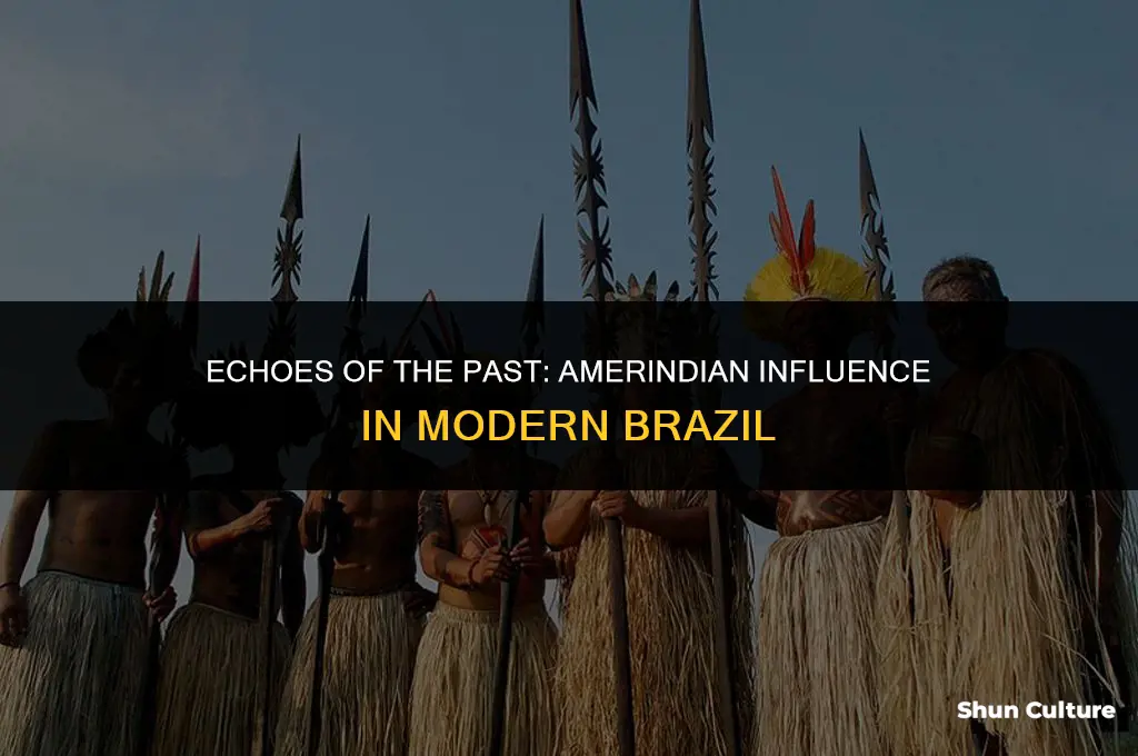 is brazil influenced by amerindians