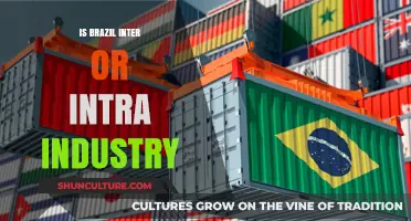 Exploring Brazil's Economic Dynamics: Inter vs. Intra-Industry Trade