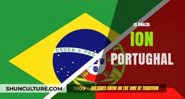 Exploring the Linguistic Ties: Is Brazilian Portuguese Really Portuguese?