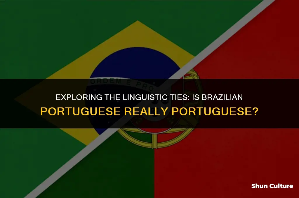 is brazil ion portughal