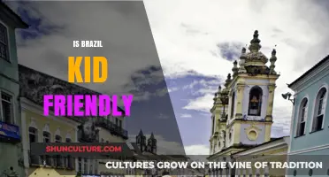 Exploring Brazil: A Family-Friendly Destination for Kids