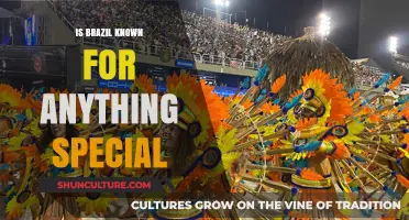 Exploring Brazil's Unique Cultural and Natural Wonders
