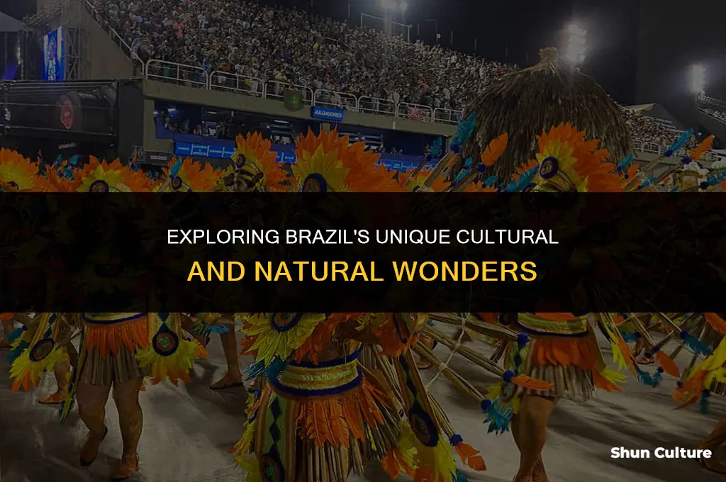 is brazil known for anything special