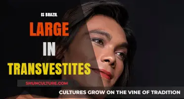 Exploring the Vibrant Transgender Community in Brazil