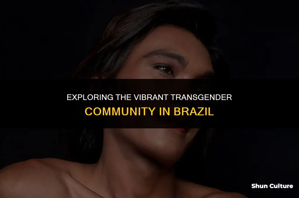 is brazil large in transvestites