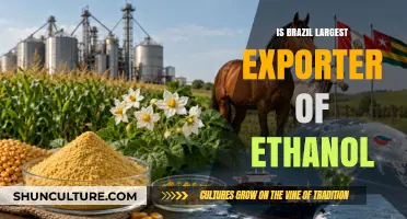 Brazil's Ethanol Export Dominance: A Sustainable Energy Leader