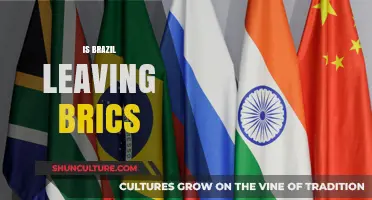 Brazil's Potential Exit from BRICS: Economic Implications and Global Impact