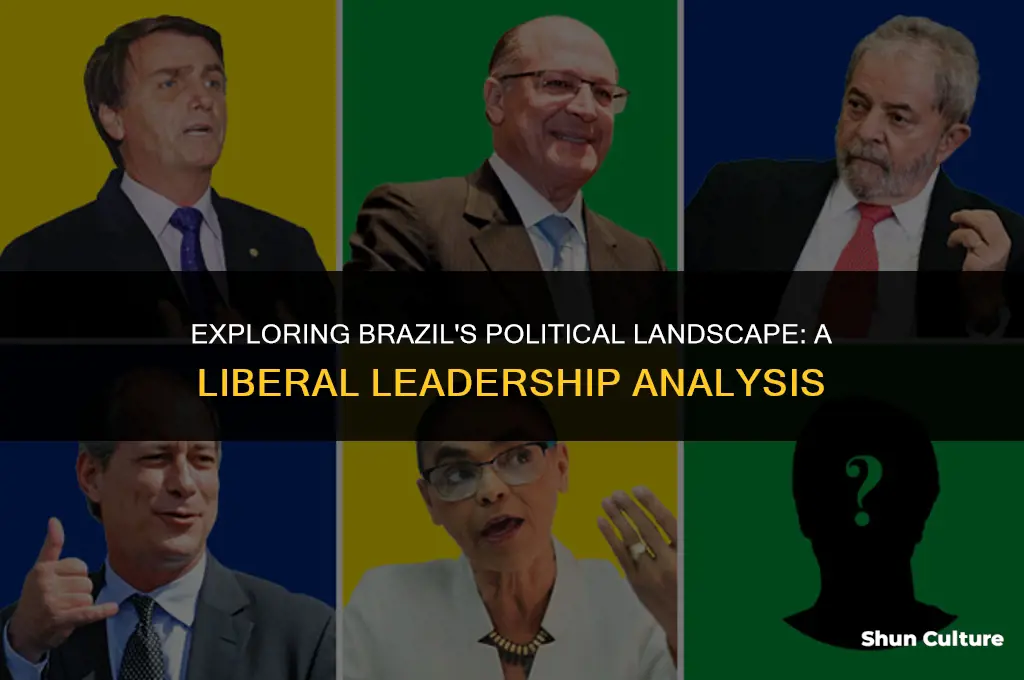 is brazil led by libetals