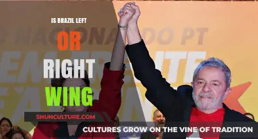 Exploring Brazil's Political Spectrum: Left, Right, or Center?