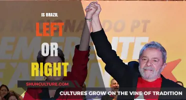 Exploring Brazil's Political Spectrum: Left, Right, or Center?