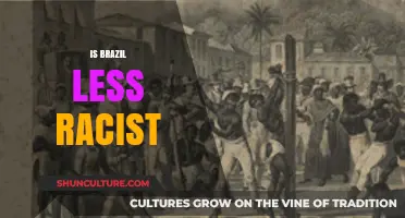 Exploring Racism in Brazil: Myths, Realities, and Progress