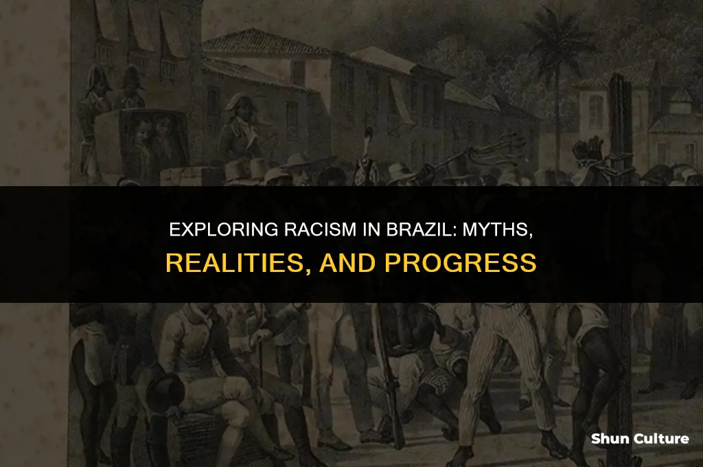 is brazil less racist