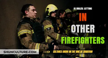 Brazil's Firefighting Efforts: International Aid and Collaboration