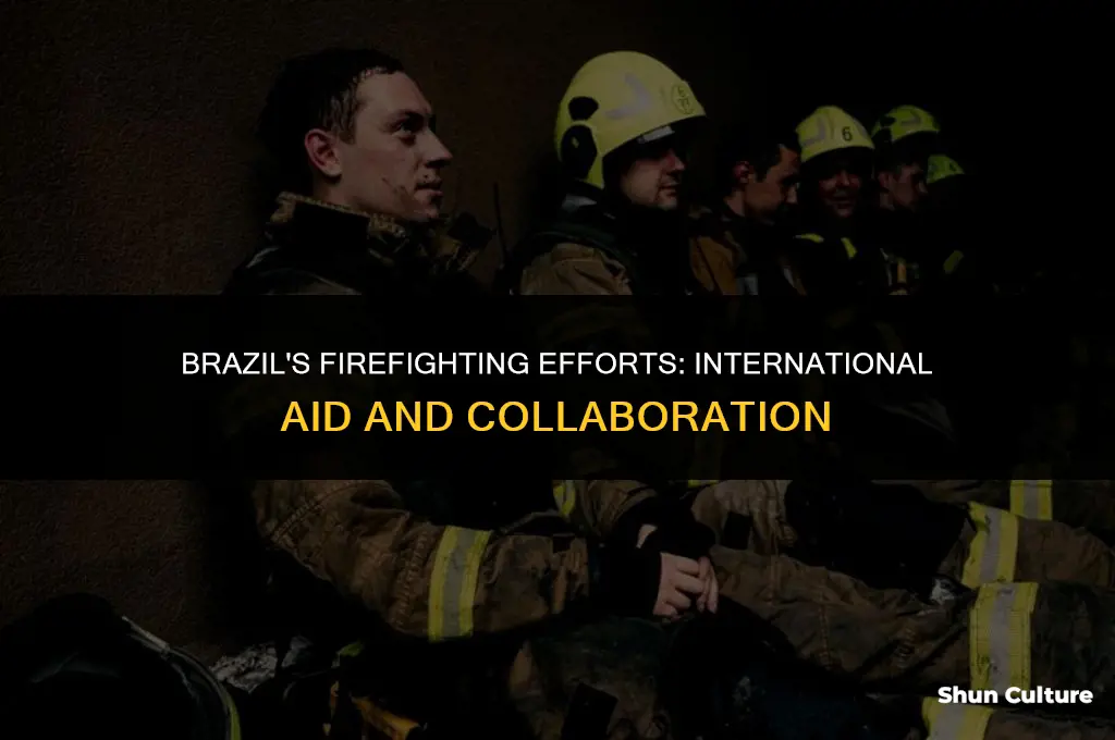 is brazil letting in other firefighters