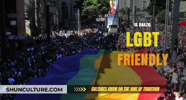 Exploring Brazil's LGBT Friendliness: Culture, Laws, and Community Insights