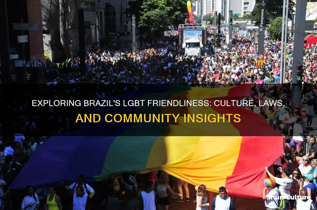 is brazil lgbt friendly