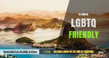 Exploring Brazil's LGBTQ+ Landscape: A Comprehensive Guide