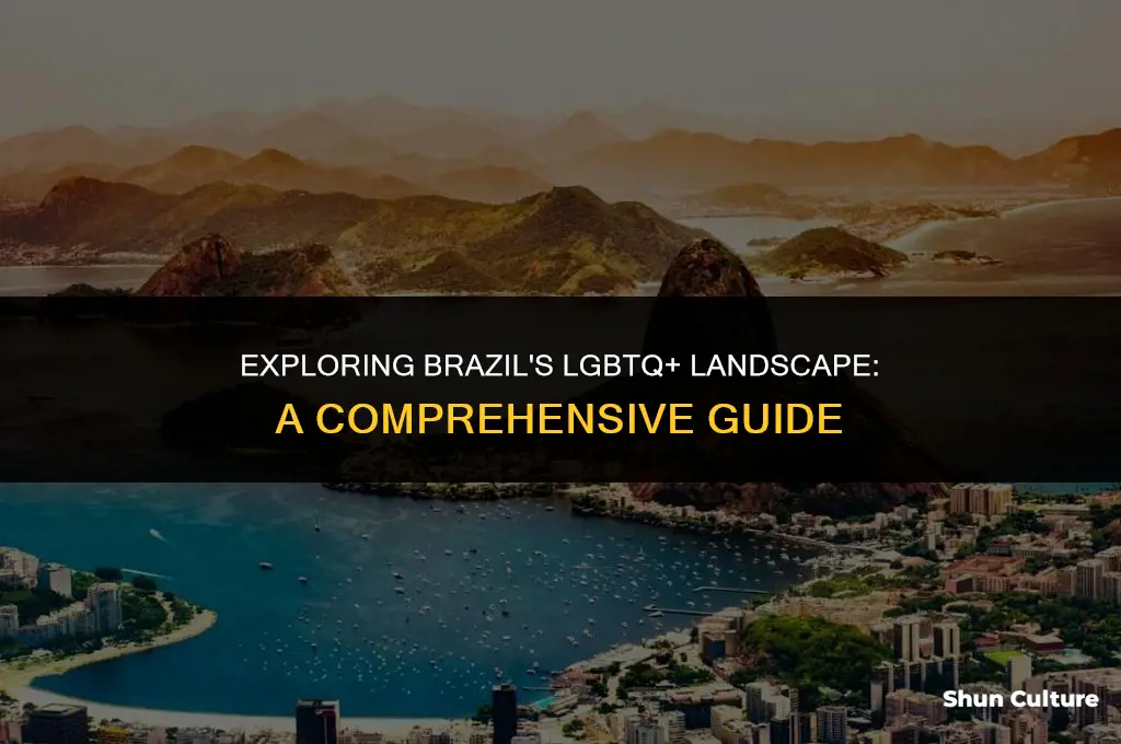 is brazil lgbtq friendly