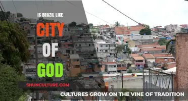 Exploring Brazil's Urban Reality: A City of God Comparison