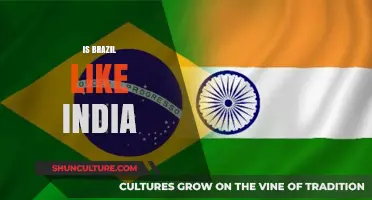 Exploring Cultural Parallels: Brazil and India Compared