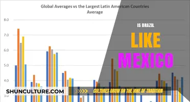 Exploring Cultural Parallels: Brazil and Mexico Compared