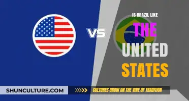 Exploring Cultural Parallels: Brazil and the United States Compared