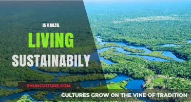 Exploring Brazil's Path to Sustainability: Challenges and Progress