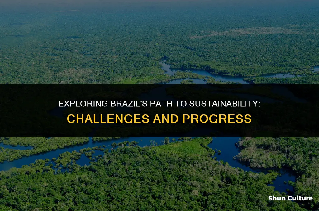 is brazil living sustainabily