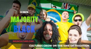 Exploring Brazil's Racial Demographics: Is the Majority Black?