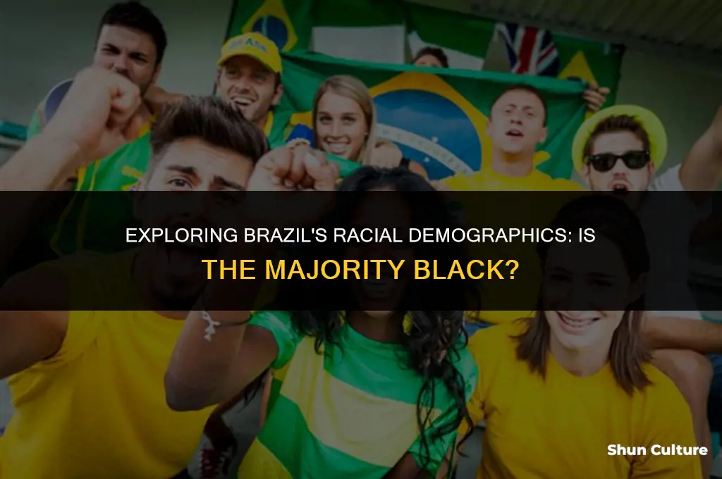 is brazil majority black