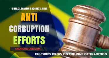 Brazil's Anti-Corruption Crusade: Progress and Challenges Ahead