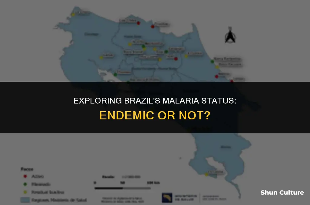 is brazil malaria endemic