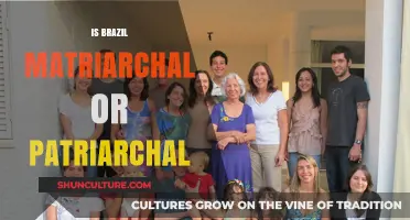 Exploring Brazil's Family Dynamics: Matriarchal or Patriarchal?