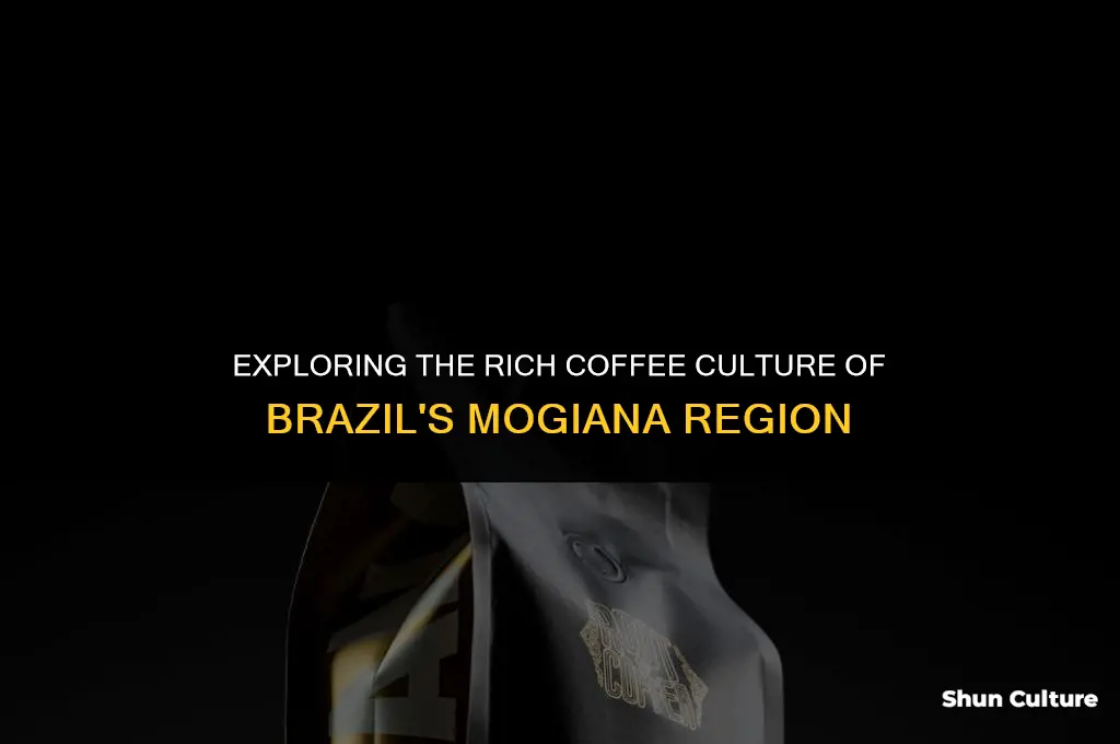 is brazil mogiana 17 18